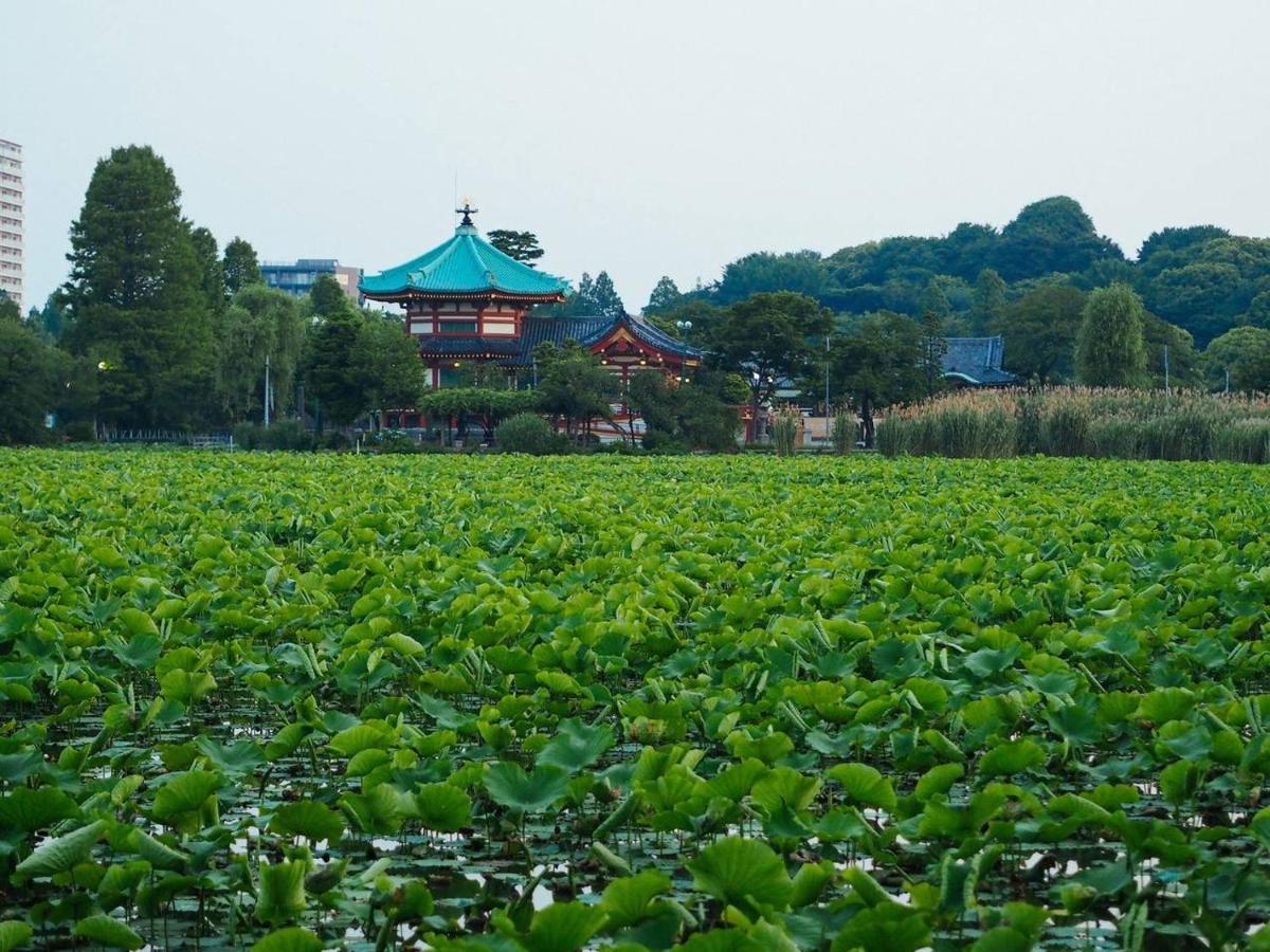 寅ホテル 台東 Hotel 寅 台东 Tora Hotel Taito A Tokyo Eksteriør billede